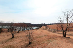 村山上中腹