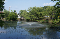 狭山池