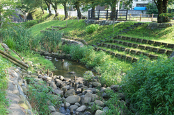 残堀川
