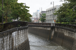 妙正寺川