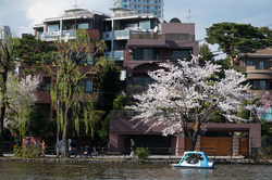 ボート池
