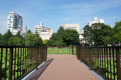 上野公園