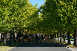 141028b.jpg