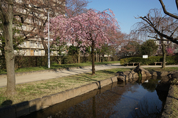 150326.jpg