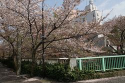 150406.jpg