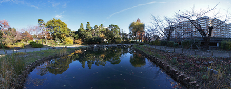 哲学堂_魚