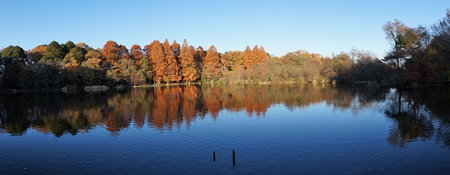 三宝寺池