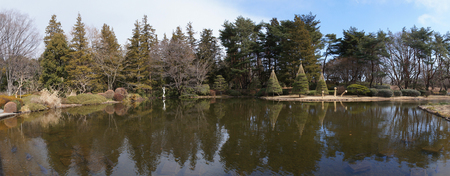 神代植物公園池