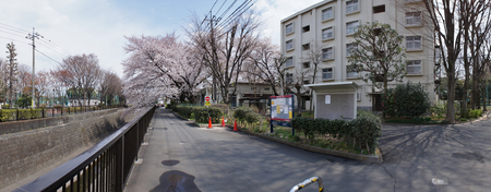 白鷺橋