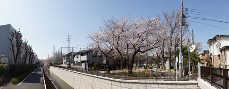 一本橋