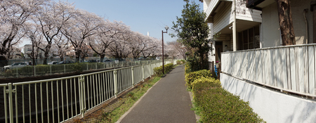 池袋乙女間