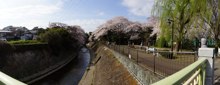 大宮橋